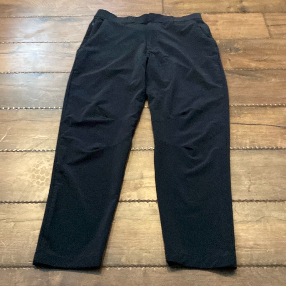 Fabletics Pants